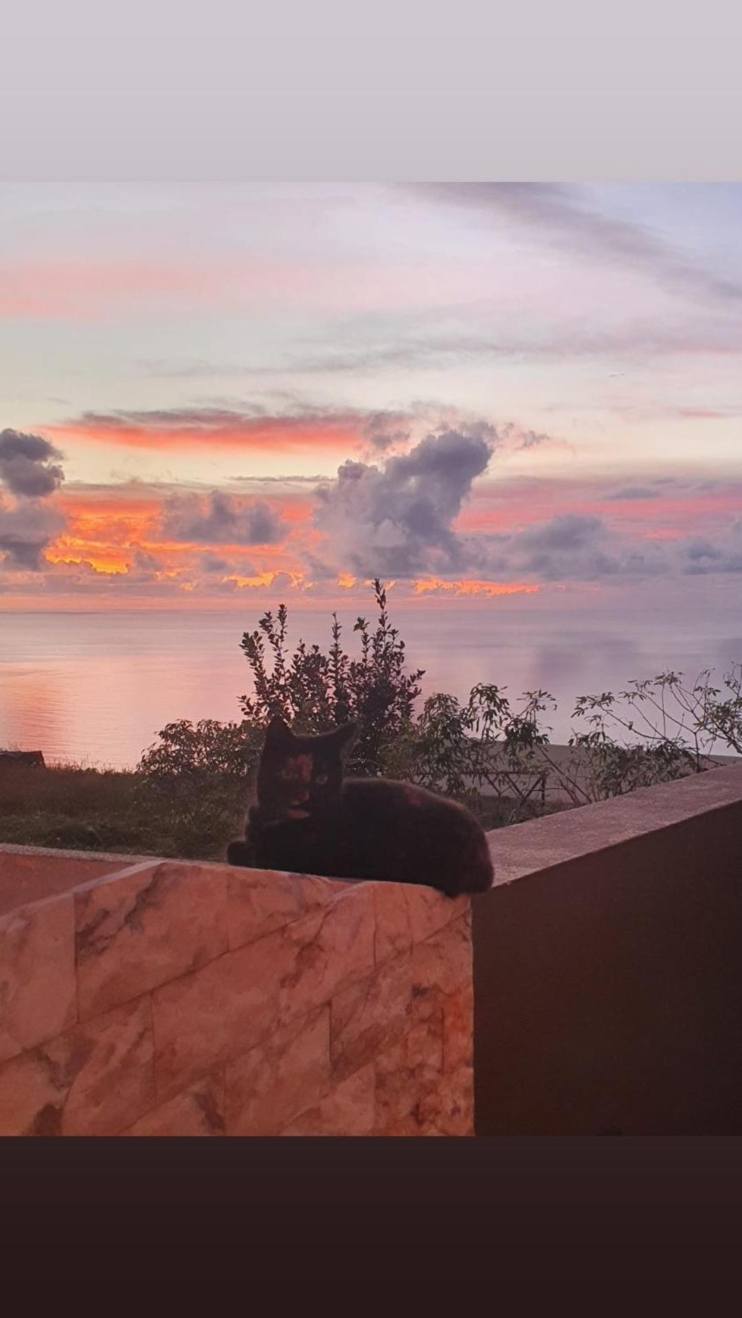 Apartament Beautiful View 3 Arco Da Calheta - Ilha Da Madeira Zewnętrze zdjęcie